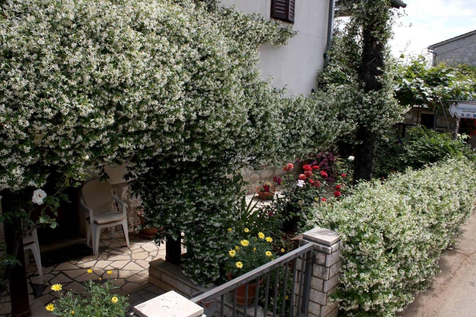 Anamarija Apartments Near The Beach And The Fantastic Adria Sea With Over 10 Small Islands Close By Funtana Dış mekan fotoğraf